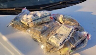 DPS Seizes Over $83,000 Cash During Hidalgo Co. Traffic Stop (South Texas Region)