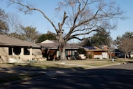 Single family houses are seen in the Wynnewood Northneighborhood of Oak Cliff, Tuesday,...