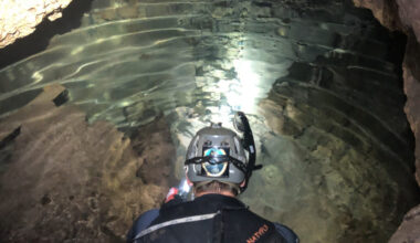 New Ice Age Animals and Slice of Earth History Found in Central Texas Water Cave | Jackson School of Geosciences