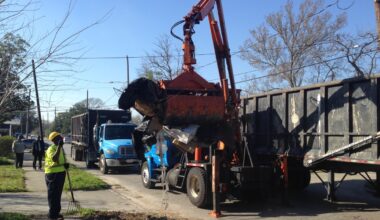 Dominic Anthony Walsh