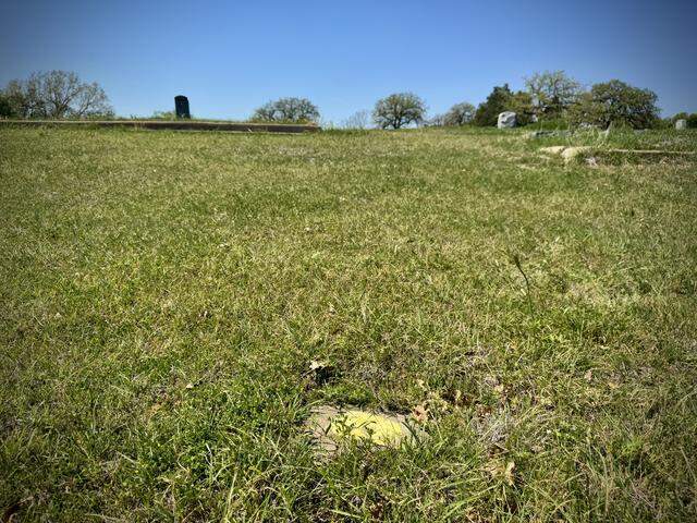 The grave for Trinity at Oakwood Cemetery as it appears today. 