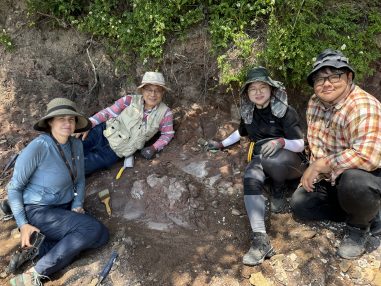 Researchers from The University of Texas at Austin and the Korean Dinosaur Center with a possible dinosaur skeleton on Aphae Island.