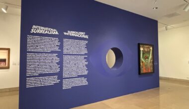 ‘International Surrealism’ at the DMA open one more week – NBC 5 Dallas-Fort Worth