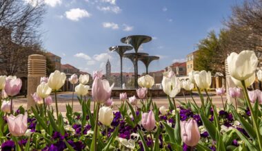 A lasting legacy and springtime tradition – TCU 360
