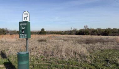 Residents say ATVs are damaging Tandy Hills’ wildflowers