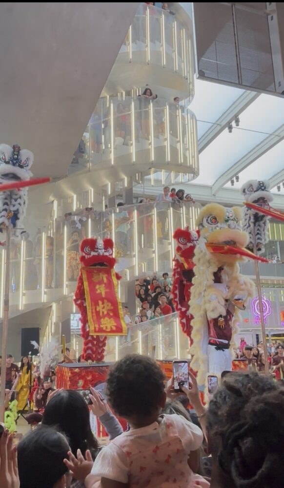 The Soaring Phoenix Dragon and Lion Dance Association performs at the POST Houston on Feb. 15, 2026.