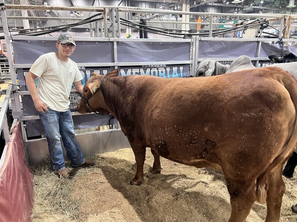 Adam Mata Houston Rodeo
