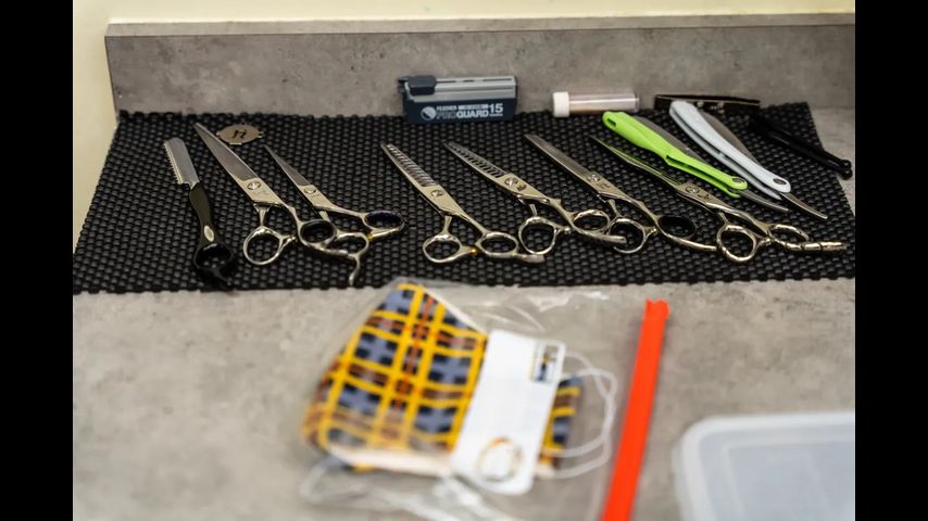 Texas will require proof of legal immigration status to get professional licenses