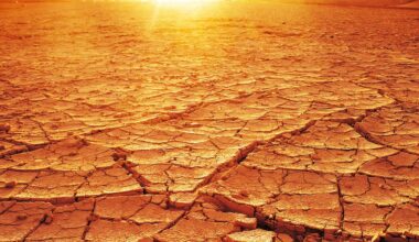 Drought intensity remains unchanged across many North Texas counties