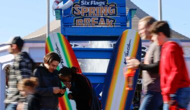 Six Flags appoints new chair amid call for sale