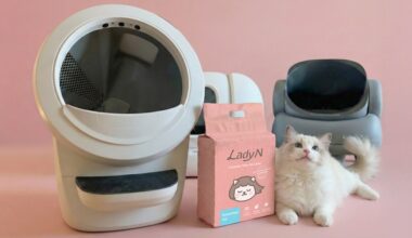 Taiwan's Lady N To Open Tofu Cat Litter Factory in Dallas » Dallas Innovates
