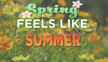 Check out what will bring record heat