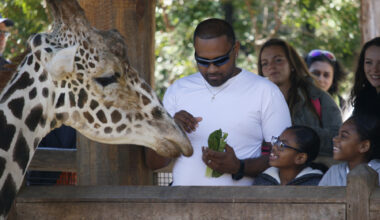 Dallas Zoo introduces Wild Pass in time for spring break