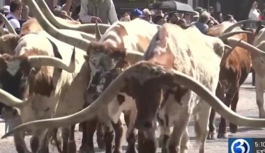 UConn women head down to Fort Worth, Texas to play for spot in Final Four