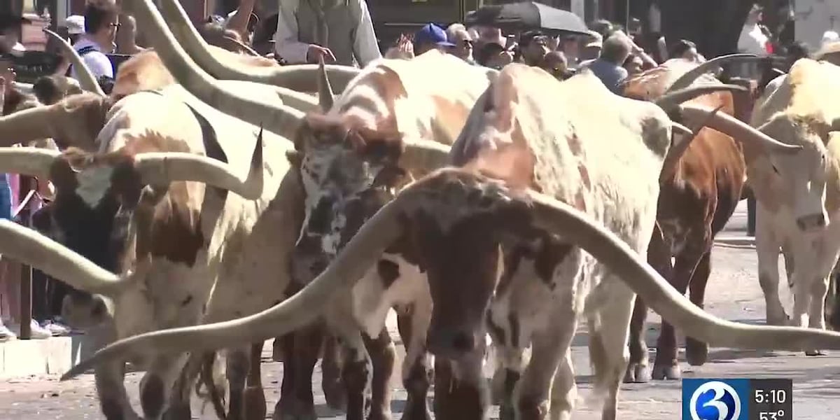 UConn women head down to Fort Worth, Texas to play for spot in Final Four