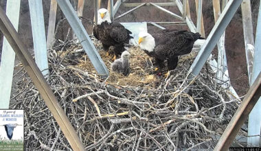 March Events Roundup • The Austin Chronicle