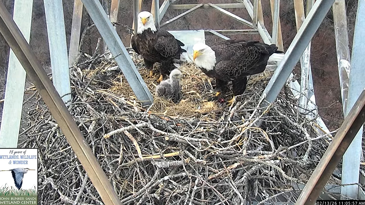 March Events Roundup • The Austin Chronicle