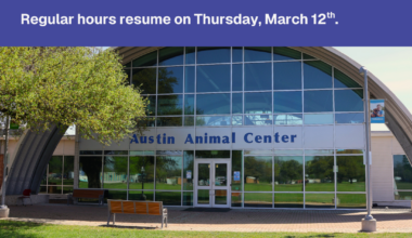 Graphic that summarizes Animal Services' closure details.