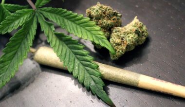 Austin hemp sellers weigh in on looming ban of smokable THC