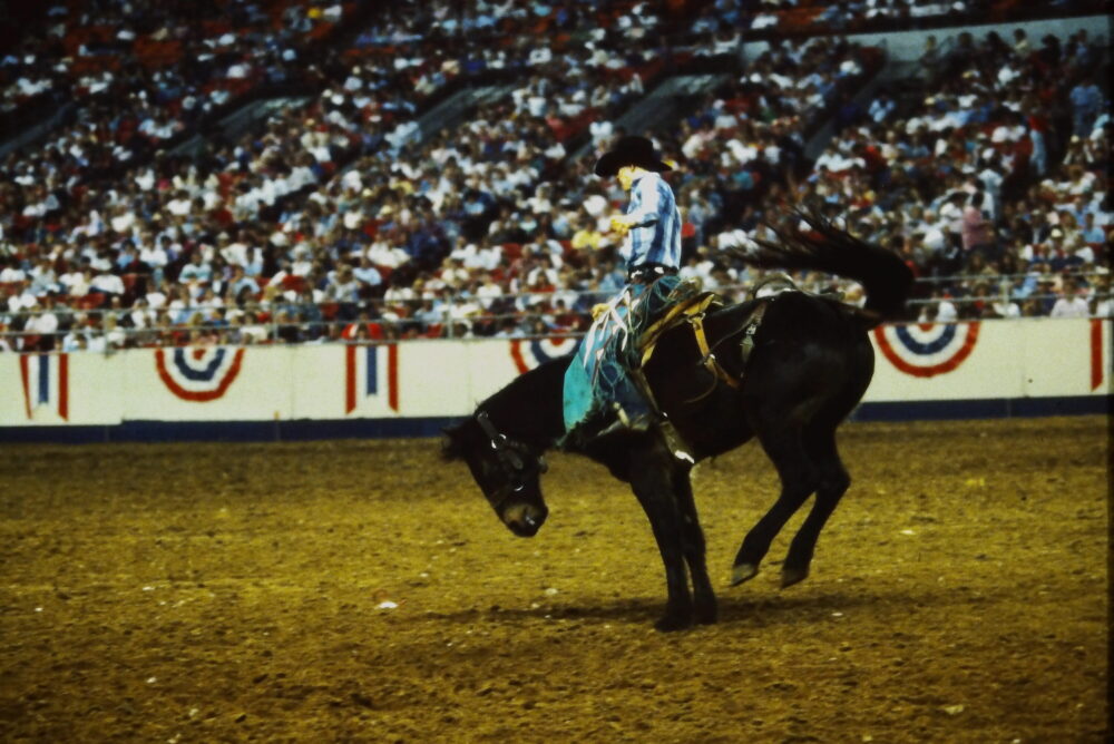 Champion bull rider Ty Murray