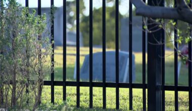 Video shows man accused of throwing remains at Dallas FBI office – NBC 5 Dallas-Fort Worth