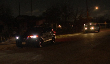 1 person hospitalized after dog bite on West Side, SAFD says