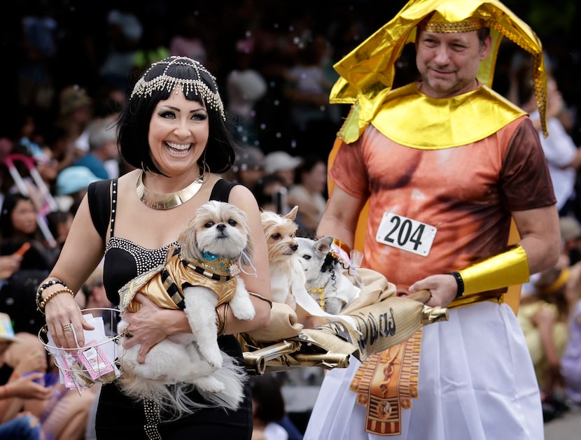 Melanie Fox dressed her Shih Tzu Cleopatra (in hand), her Yorkie-mix Ameera and Chihuahua...