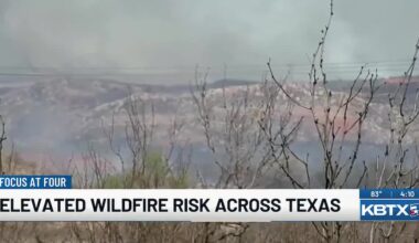 Texas A&M Forest Service warns of elevated wildfire risk across the state