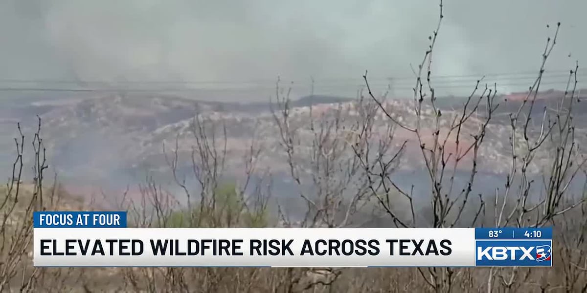 Texas A&M Forest Service warns of elevated wildfire risk across the state