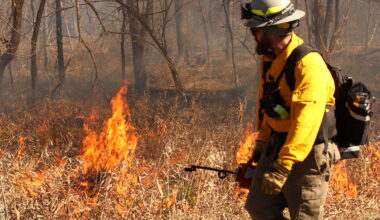 Prescribed Fire on Parkland | AustinTexas.gov