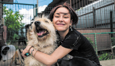 Readers Voice Awards 2026: Pets