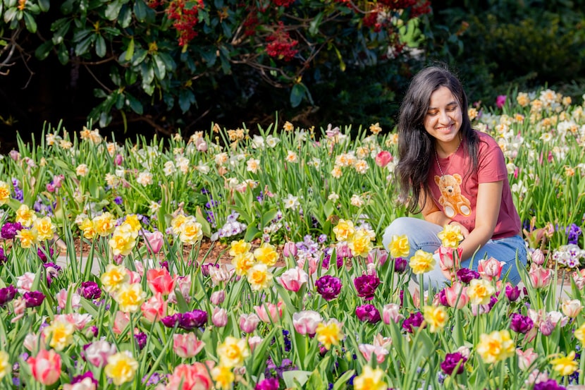 The Dallas Arboretum's popular Dallas Blooms festival runs through April 12.