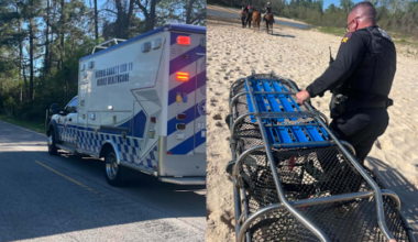 Harris County Pct. 4 deputies rescue unconscious horseback rider
