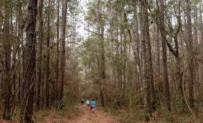 Houston Audubon acquires 128-acre sanctuary in Montgomery County: Peach Creek Woods Nature Sanctuary