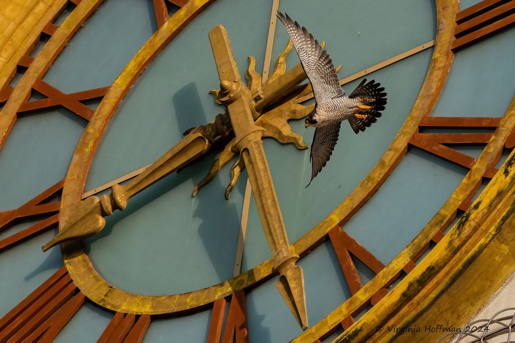 Friends in High Places - UT Austin News