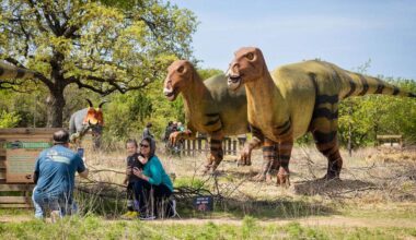Family fun dinosaur events and camping at Lake Grapevine