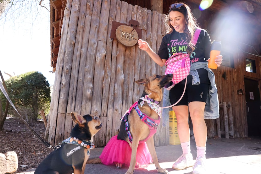 Britney Wynn interacts with her German Shepherd, Soleil, on her birthday, as Thurber (left),...
