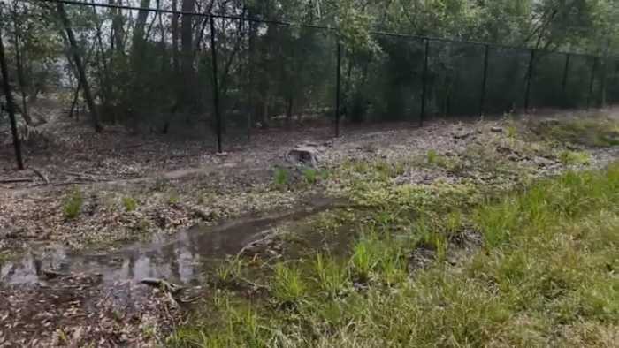 Spring Branch homeowner warns clogged drainage ditch could cause flooding
