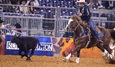 Man’s Best Friends Are Horses Named Rudy and Julian