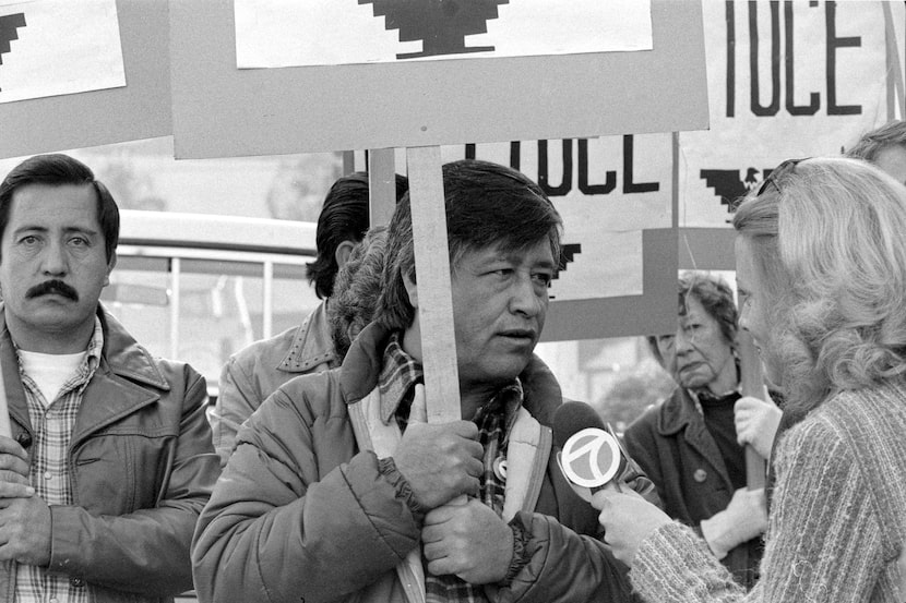 Civil rights leader Cesar Chavez, with the United Farm Workers, speaks to a reporter in San...