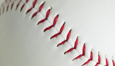 Traver leads Dallas to win – Wilkes-Barre Citizens' Voice