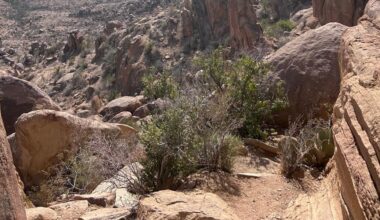 46 Texas lawmakers urge Abbott to halt Big Bend border wall construction