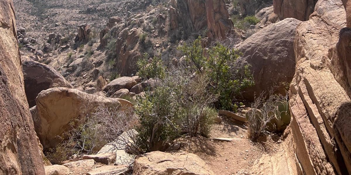 46 Texas lawmakers urge Abbott to halt Big Bend border wall construction