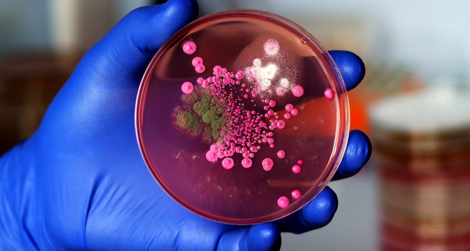 Superbugs • The Austin Chronicle