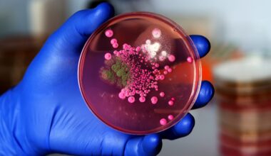 Superbugs • The Austin Chronicle