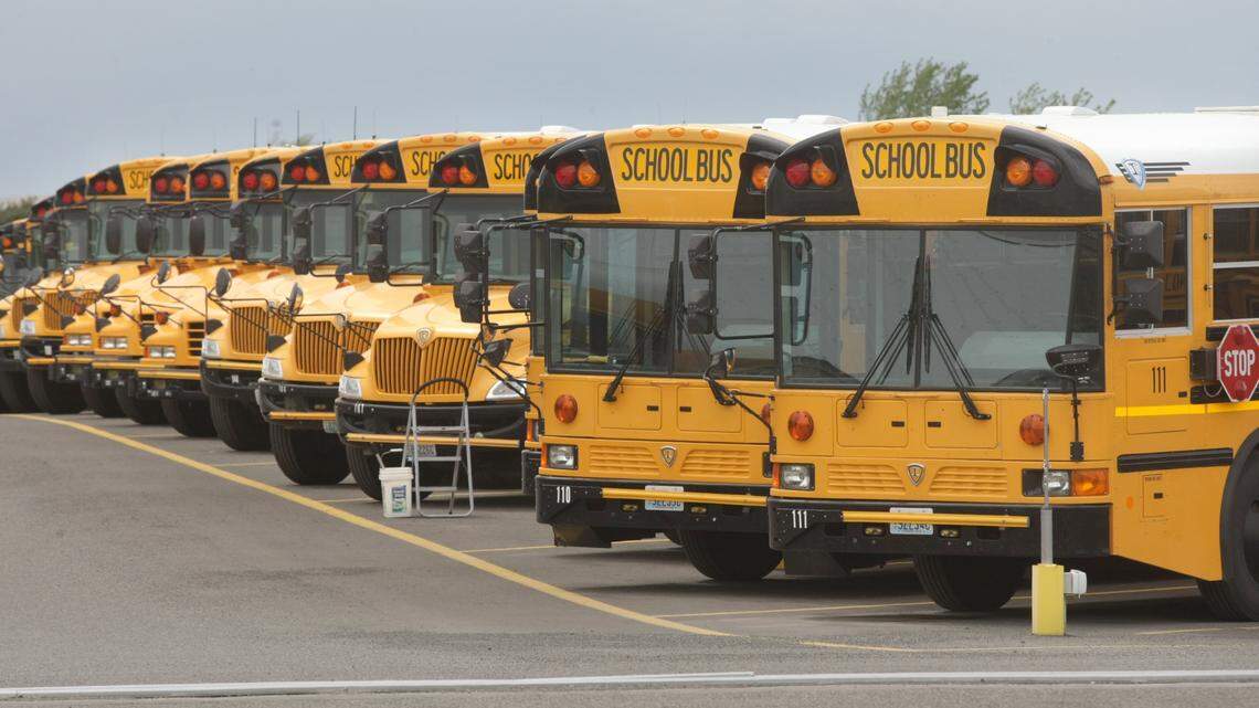 A row of school buses parked in a lot.