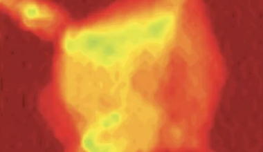 university of Houston