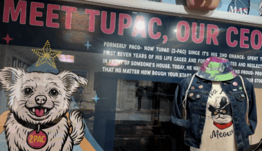 Sunday Funday: Proper Printshop - KVIA