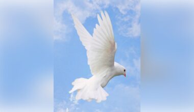 Santiago Castro Garcia Obituary