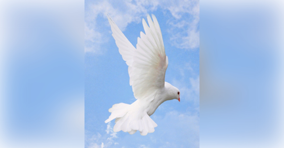 Santiago Castro Garcia Obituary